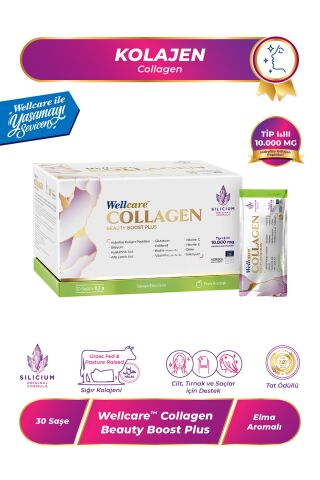 Wellcare Collagen Beauty Boost Plus Tip I & III 10.000 mg - 30 Saşe