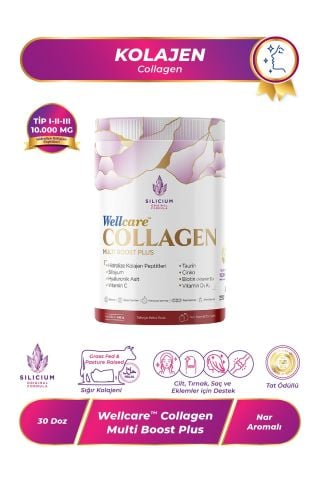Wellcare Collagen Multi Boost Plus Toz Nar Aromalı 10.000 Mg