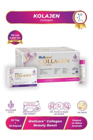 Wellcare Collagen Beauty Boost Likit Karpuz & Nane Aromalı 5.500 Mg - 30 Likit Tüp 30 Kapsül
